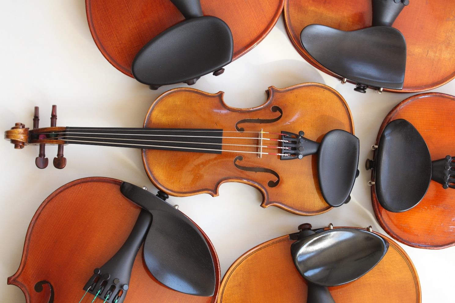 Verschiedene Kinnhalter an Violinen