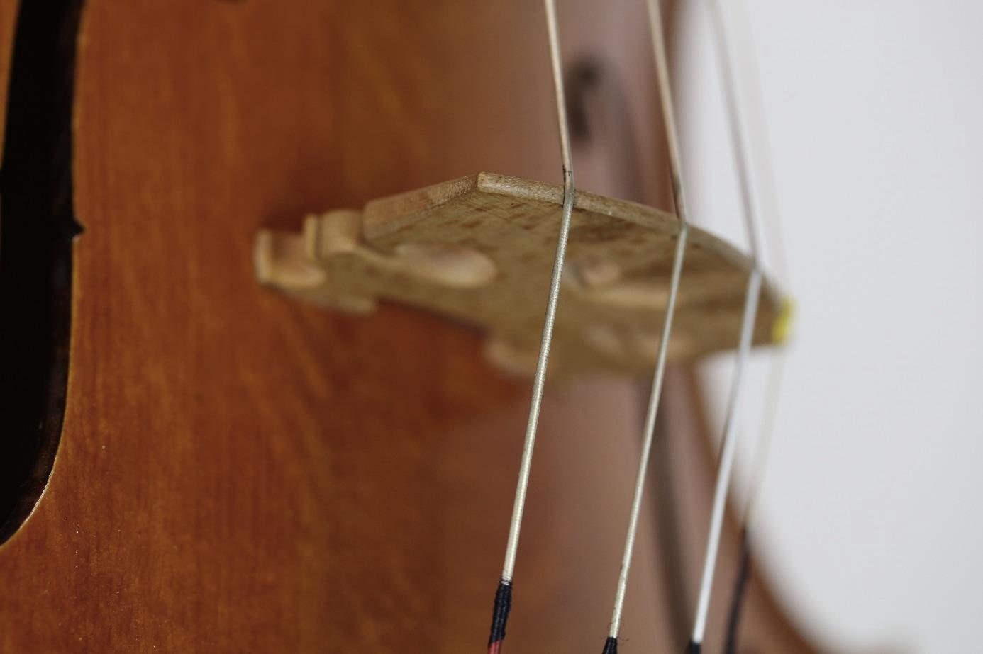 Detailaufnahme von Saiten und Steg einer Violine